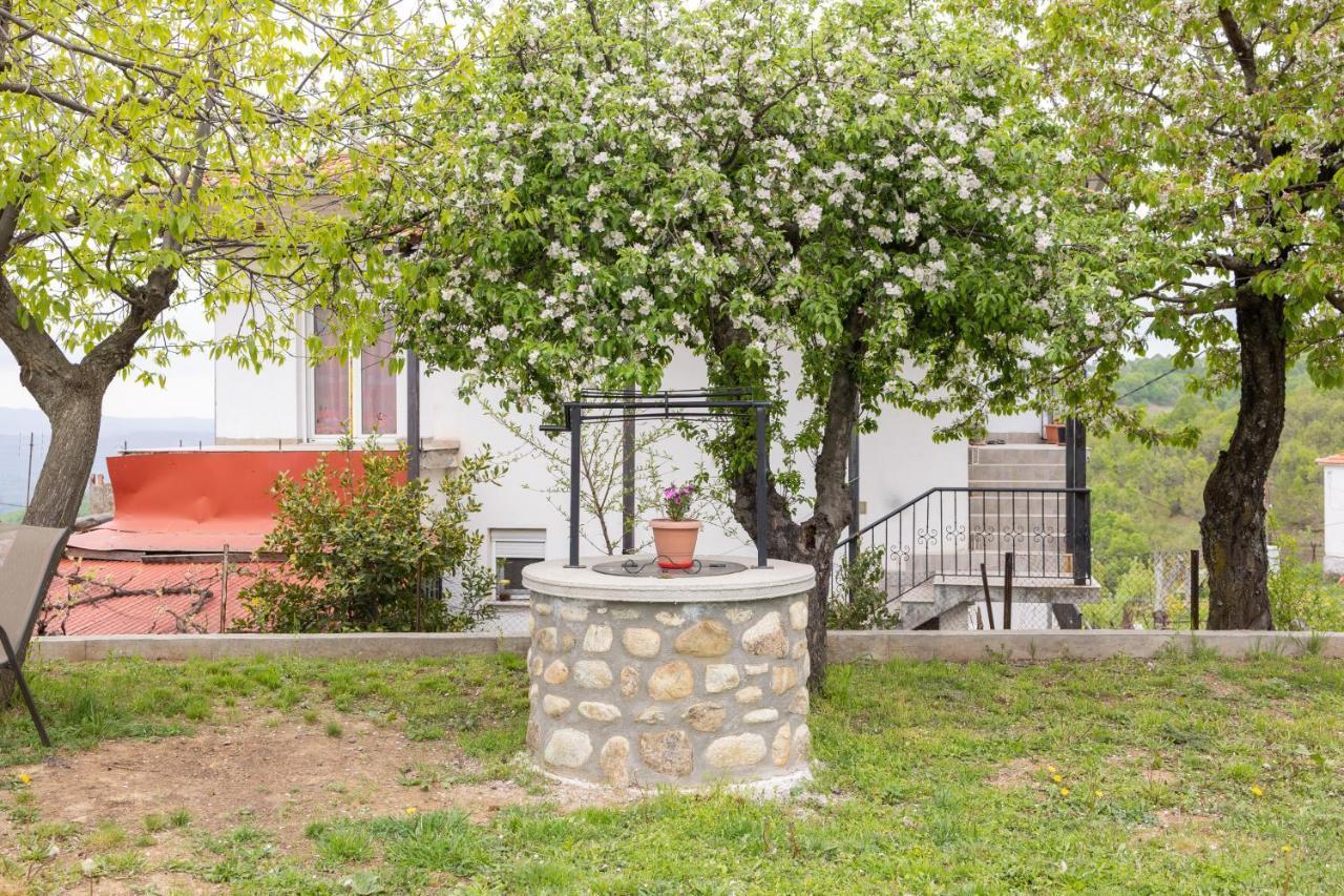 Archontiko Fotini - Traditional Guesthouse Meteora กาลัมปากา ภายนอก รูปภาพ